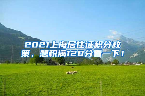 2021上海居住证积分政策，想积满120分看一下！