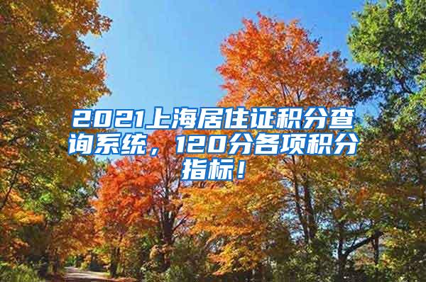 2021上海居住证积分查询系统，120分各项积分指标！