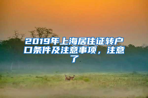 2019年上海居住证转户口条件及注意事项，注意了