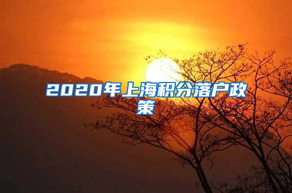 2020年上海积分落户政策