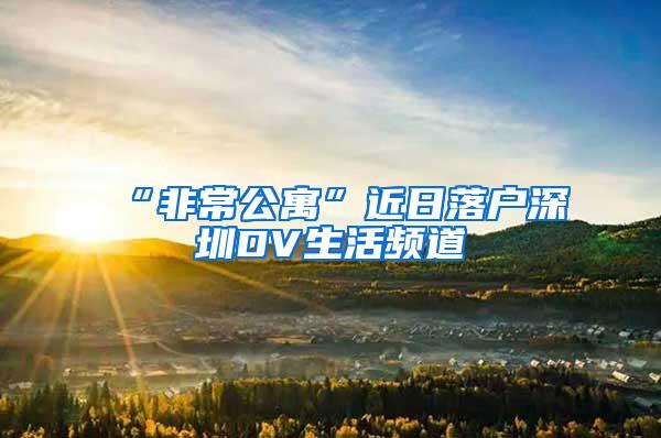 “非常公寓”近日落户深圳DV生活频道