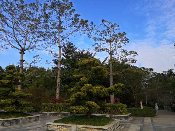 深圳出生入户新政策