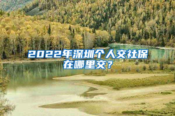 2022年深圳个人交社保在哪里交？