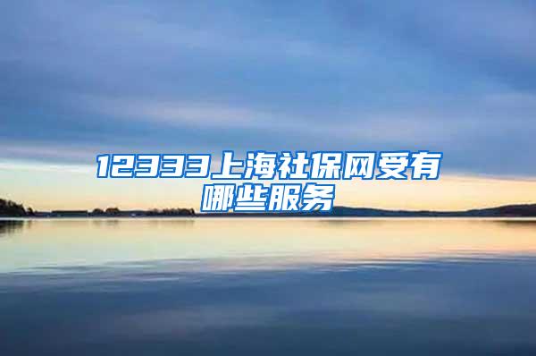 12333上海社保网受有哪些服务