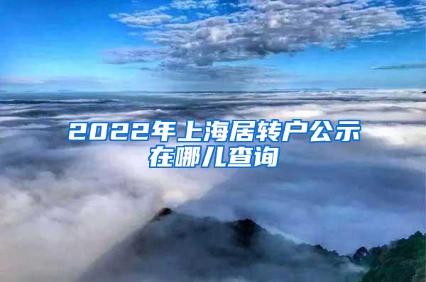 2022年上海居转户公示在哪儿查询