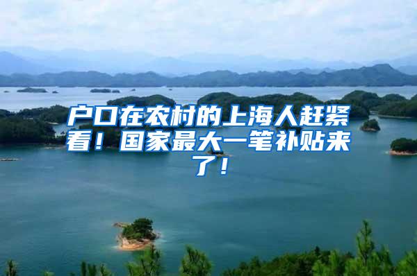 户口在农村的上海人赶紧看！国家最大一笔补贴来了！