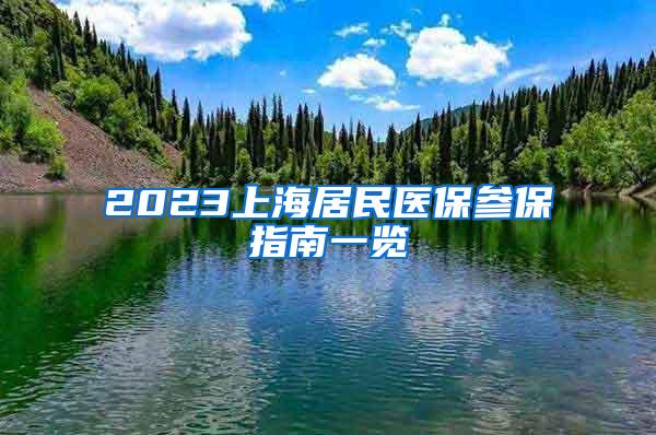 2023上海居民医保参保指南一览