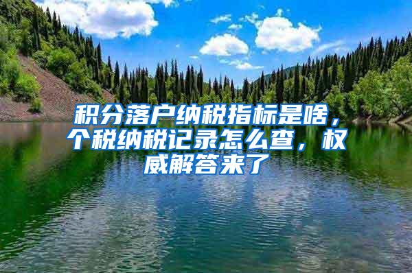 积分落户纳税指标是啥，个税纳税记录怎么查，权威解答来了