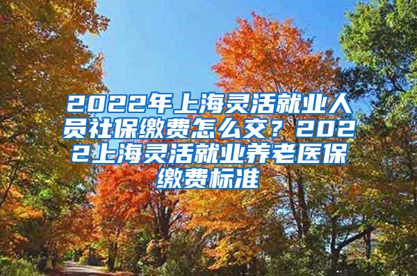 2022年上海灵活就业人员社保缴费怎么交？2022上海灵活就业养老医保缴费标准