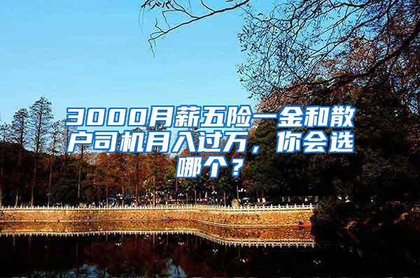 3000月薪五险一金和散户司机月入过万，你会选哪个？