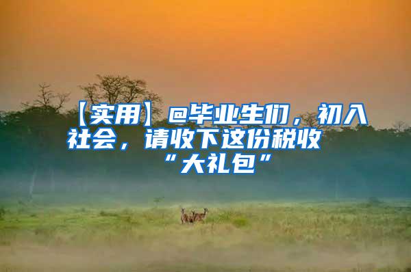 【实用】@毕业生们，初入社会，请收下这份税收“大礼包”