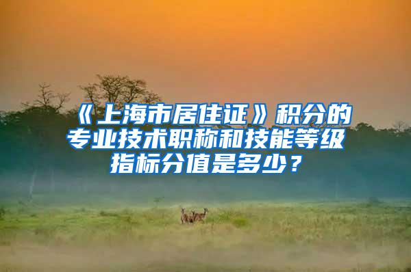 《上海市居住证》积分的专业技术职称和技能等级指标分值是多少？