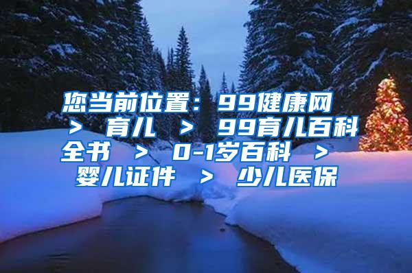 您当前位置：99健康网 ＞ 育儿 ＞ 99育儿百科全书 ＞ 0-1岁百科 ＞ 婴儿证件 ＞ 少儿医保