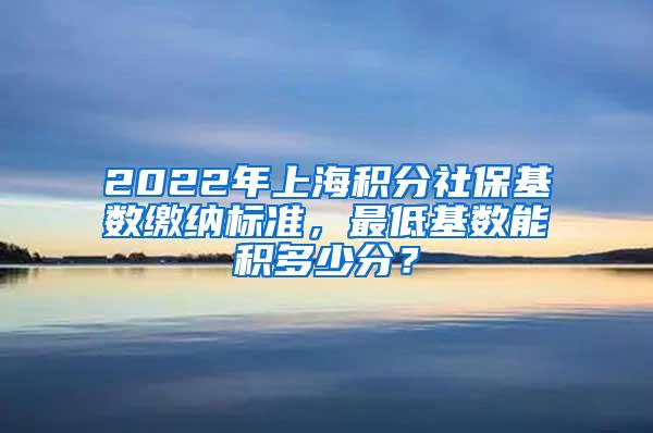 2022年上海积分社保基数缴纳标准，最低基数能积多少分？