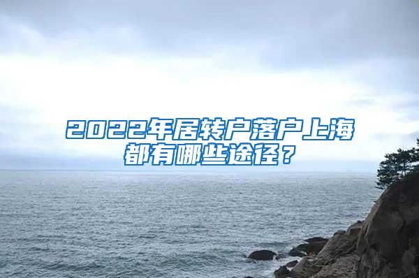 2022年居转户落户上海都有哪些途径？