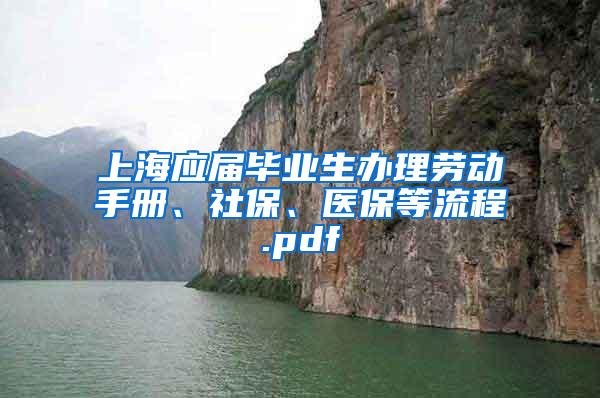 上海应届毕业生办理劳动手册、社保、医保等流程.pdf