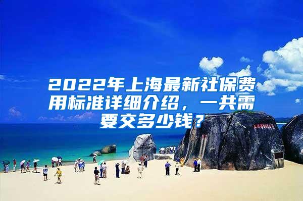 2022年上海最新社保费用标准详细介绍，一共需要交多少钱？