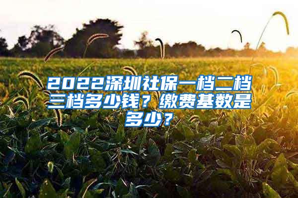 2022深圳社保一档二档三档多少钱？缴费基数是多少？