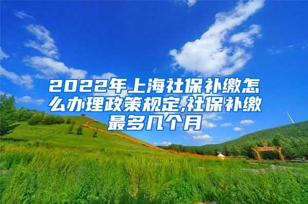 2022年上海社保补缴怎么办理政策规定,社保补缴最多几个月