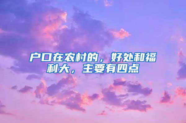 户口在农村的，好处和福利大，主要有四点