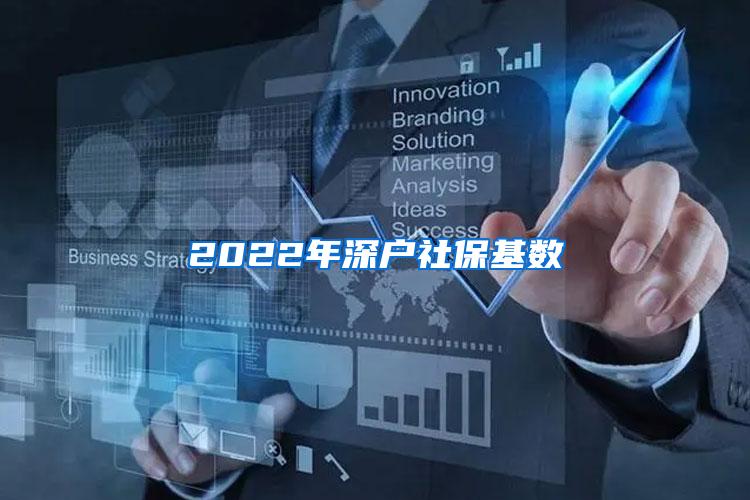 2022年深户社保基数