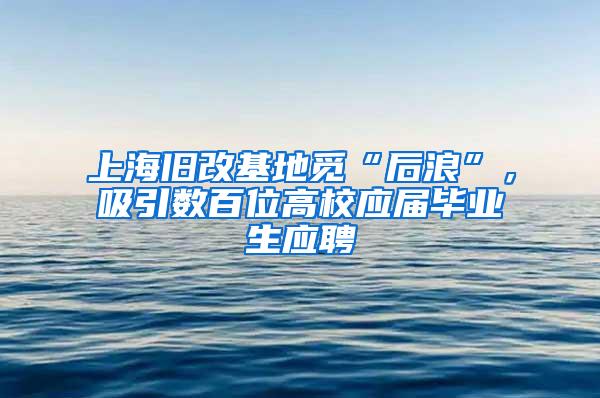 上海旧改基地觅“后浪”，吸引数百位高校应届毕业生应聘