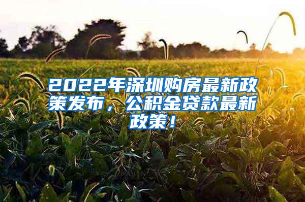 2022年深圳购房最新政策发布，公积金贷款最新政策！