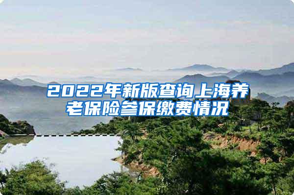 2022年新版查询上海养老保险参保缴费情况