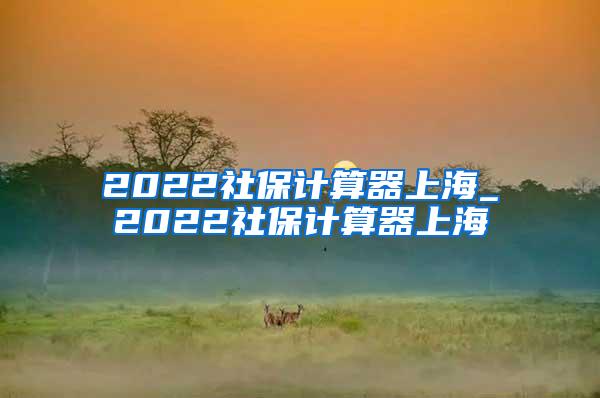 2022社保计算器上海_2022社保计算器上海