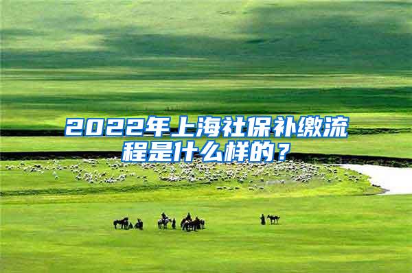 2022年上海社保补缴流程是什么样的？