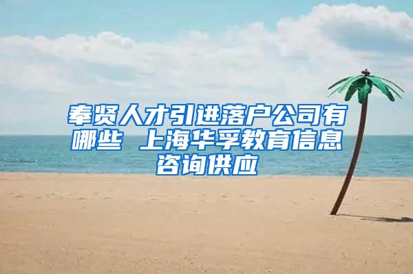 奉贤人才引进落户公司有哪些 上海华孚教育信息咨询供应