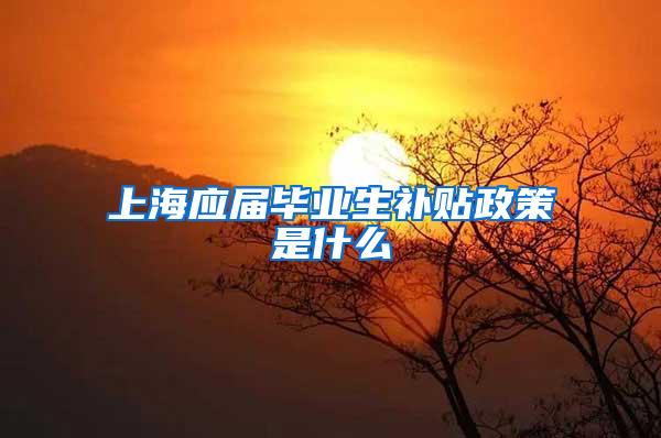 上海应届毕业生补贴政策是什么