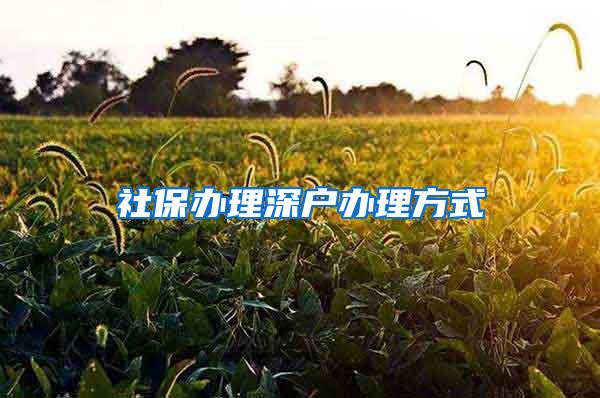 社保办理深户办理方式