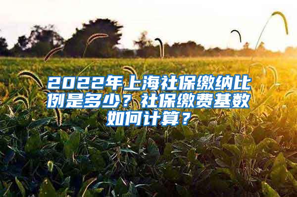 2022年上海社保缴纳比例是多少？社保缴费基数如何计算？
