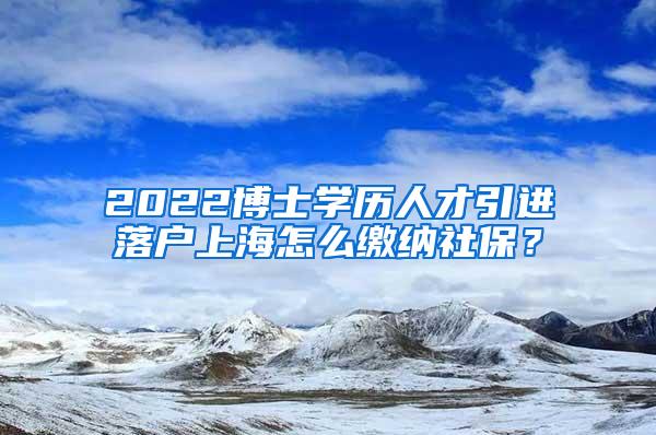 2022博士学历人才引进落户上海怎么缴纳社保？