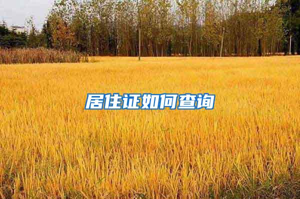 居住证如何查询
