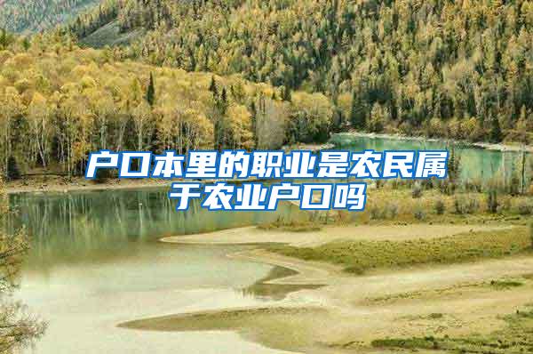户口本里的职业是农民属于农业户口吗