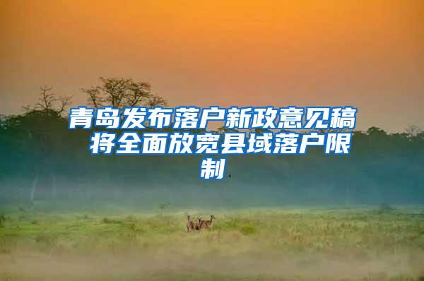 青岛发布落户新政意见稿 将全面放宽县域落户限制