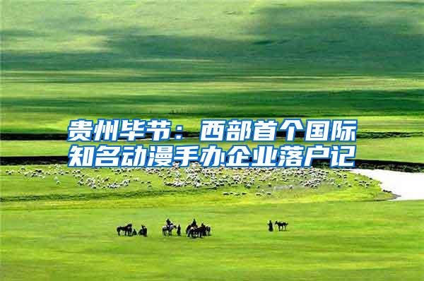 贵州毕节：西部首个国际知名动漫手办企业落户记