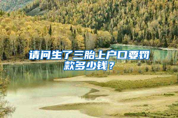 请问生了三胎上户口要罚款多少钱？