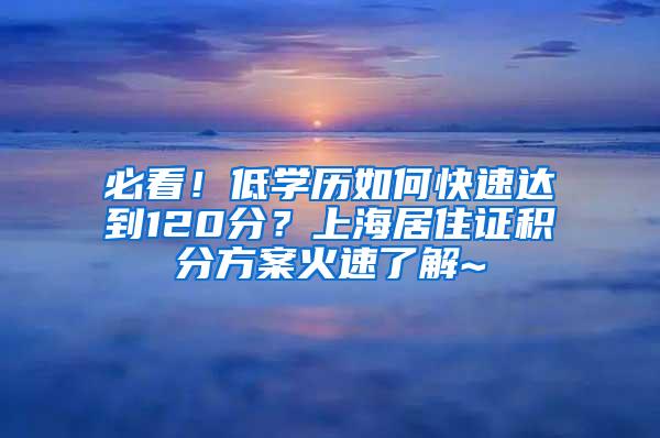 必看！低学历如何快速达到120分？上海居住证积分方案火速了解~