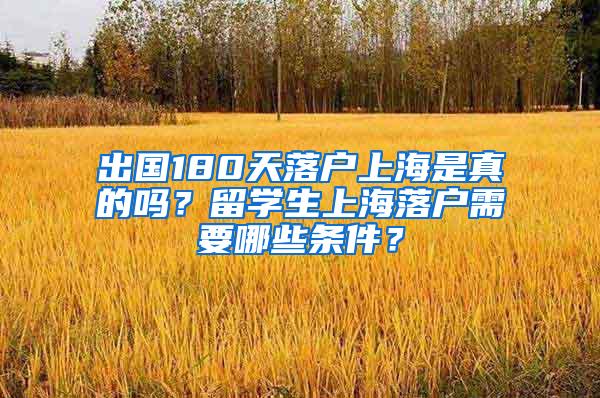 出国180天落户上海是真的吗？留学生上海落户需要哪些条件？