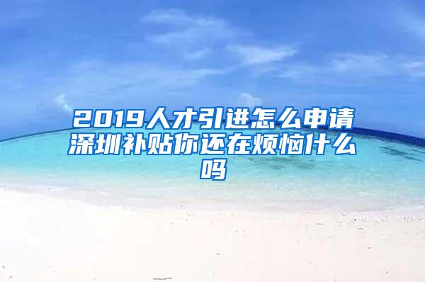 2019人才引进怎么申请深圳补贴你还在烦恼什么吗