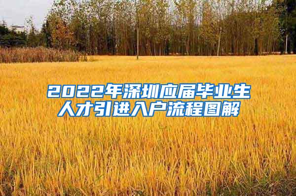 2022年深圳应届毕业生人才引进入户流程图解