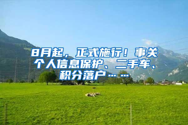 8月起，正式施行！事关个人信息保护、二手车、积分落户……