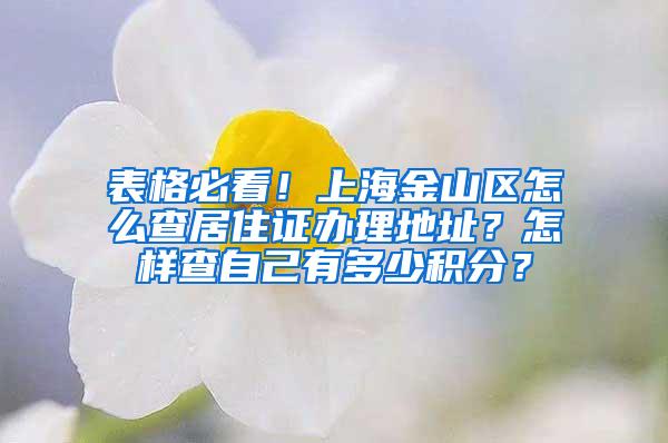 表格必看！上海金山区怎么查居住证办理地址？怎样查自己有多少积分？