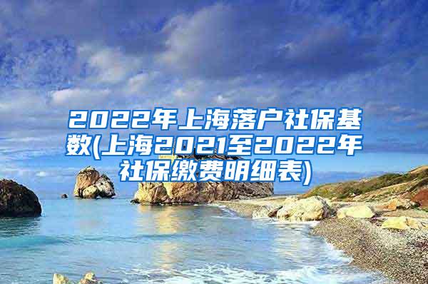 2022年上海落户社保基数(上海2021至2022年社保缴费明细表)