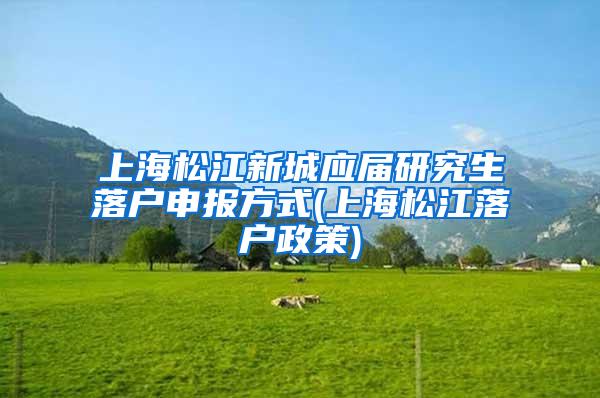 上海松江新城应届研究生落户申报方式(上海松江落户政策)