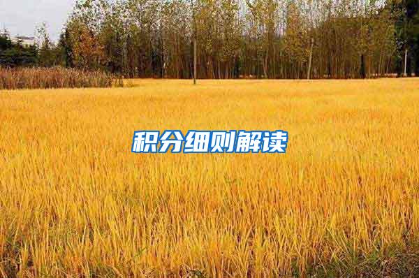 积分细则解读