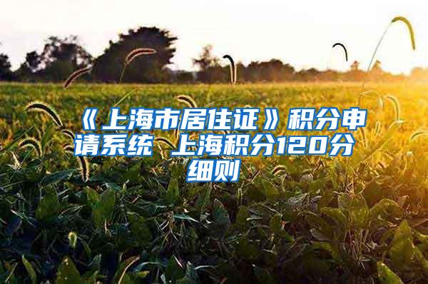 《上海市居住证》积分申请系统 上海积分120分细则